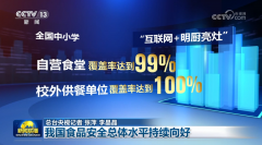  我国食物平安总体